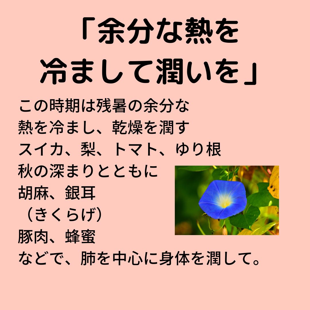 inuikanpo's tweet photo. ８月７日に立秋を迎え
空気の乾燥がはじまります

まだ、暑い時期の乾燥は
発汗で乾燥感がありませんが
温燥（おんそう）といって
乾燥しやすいので
注意が必要です。
セミナーで
詳しくお伝えします

立秋の薬膳セミナー
8月２日（日）１０時～１１時30分
イヌイ薬局宮長店
参加費：２０００円
講師：国際中医薬膳師
　　　２４節季節エバンジェリスト
　　　北見　友香
詳しくは
https://t.co/6AQndTN2nd
お申込みは
https://t.co/za6DrvZrim
から