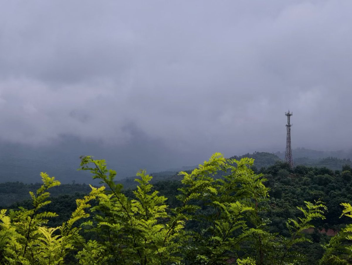 ChenPi81836's tweet photo. 雨后 https://t.co/SHMlIHzzdC