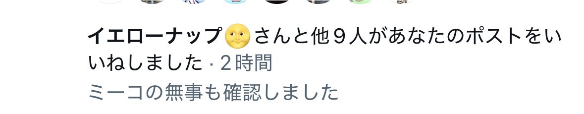 hycofrederick's tweet photo. ミーコのおかげでこの人の生存も確認できた https://t.co/uprX84O3EL