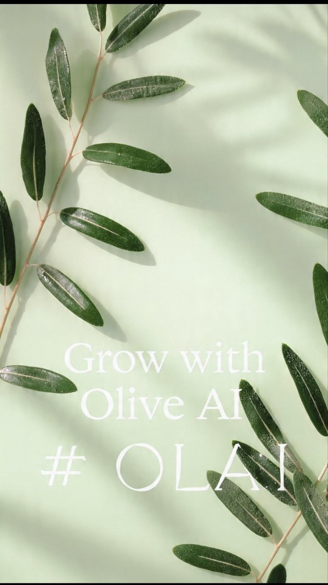 oliveaiprotocol's tweet photo. We called it *Olive* because we’re building something that lasts.

Olive AI 🌿
Not artificial. Organic.
Not fast pumps. Real roots.
Not whales only. Community first.

$OLAI = Peace. Growth. Longevity.  
Just like the olive tree.

We’re not here for 1 cycle.  
We’re here for generations.

Join the grove.
Ca: 0xF49E1651bbC174077Ad1debDdbfb3384E57647e1