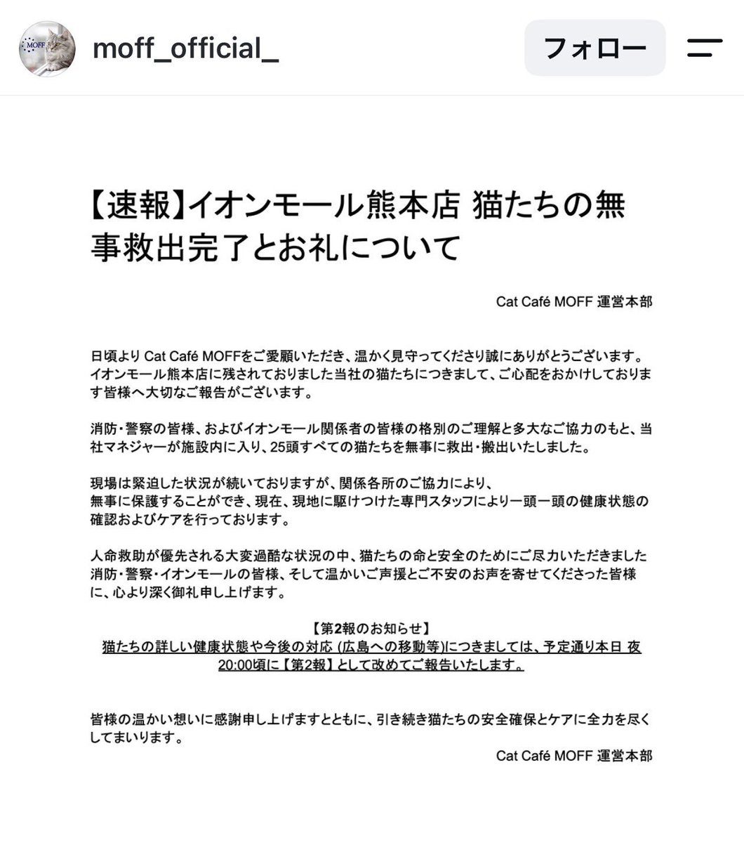 rabeat07's tweet photo. イオンモール熊本、
猫カフェの猫25頭すべて救出されたとのこと。

16時10分頃の投稿と思われます。 https://t.co/0LtJZOZh2s