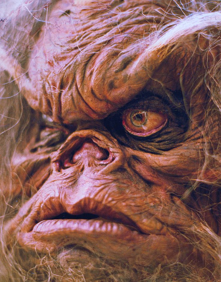 FatguyzInc's tweet photo. @itsrosesm i thought they already did-- the dark crystal..... https://t.co/F2u2lfgnsD