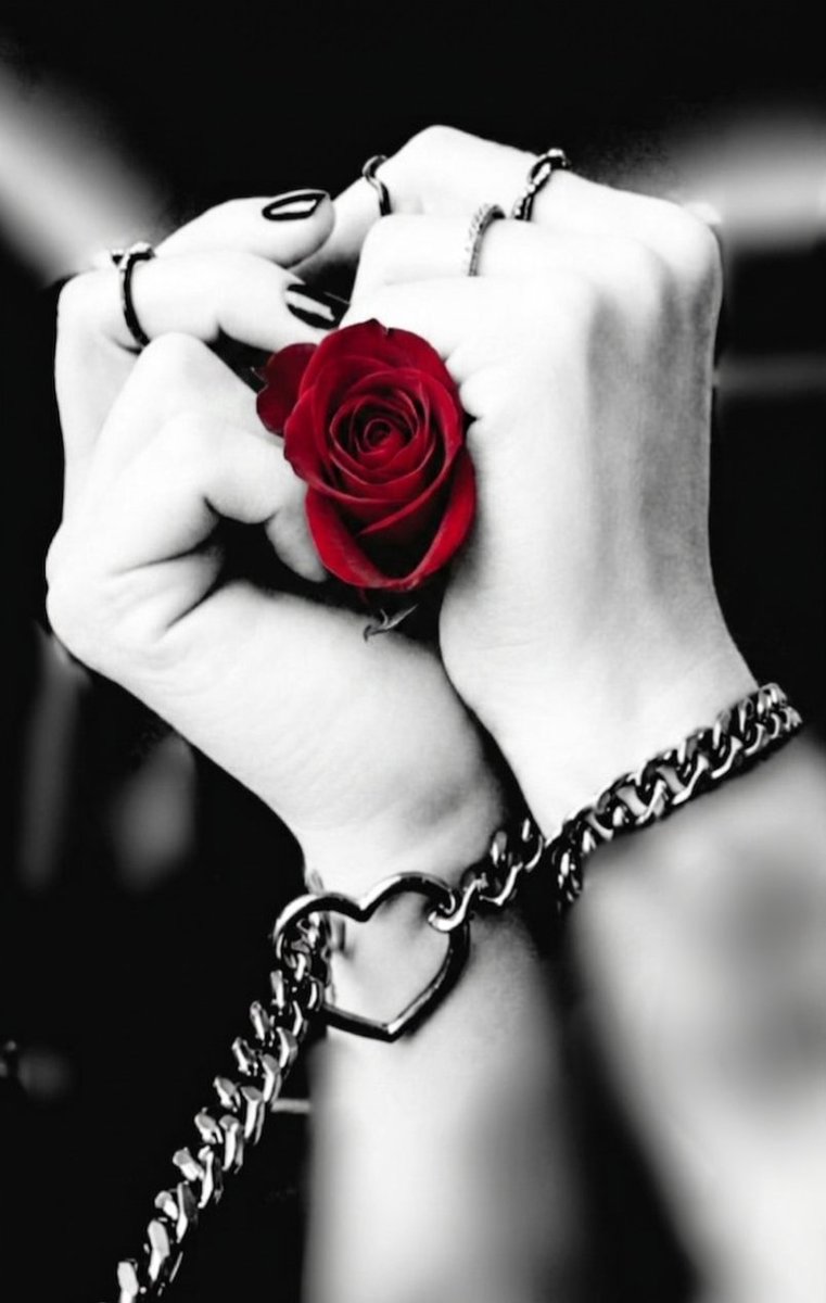 SolamenteLaManu's tweet photo. Il mio concetto di romanticismo.
Buona giornata❤️ https://t.co/09olUQUYQP