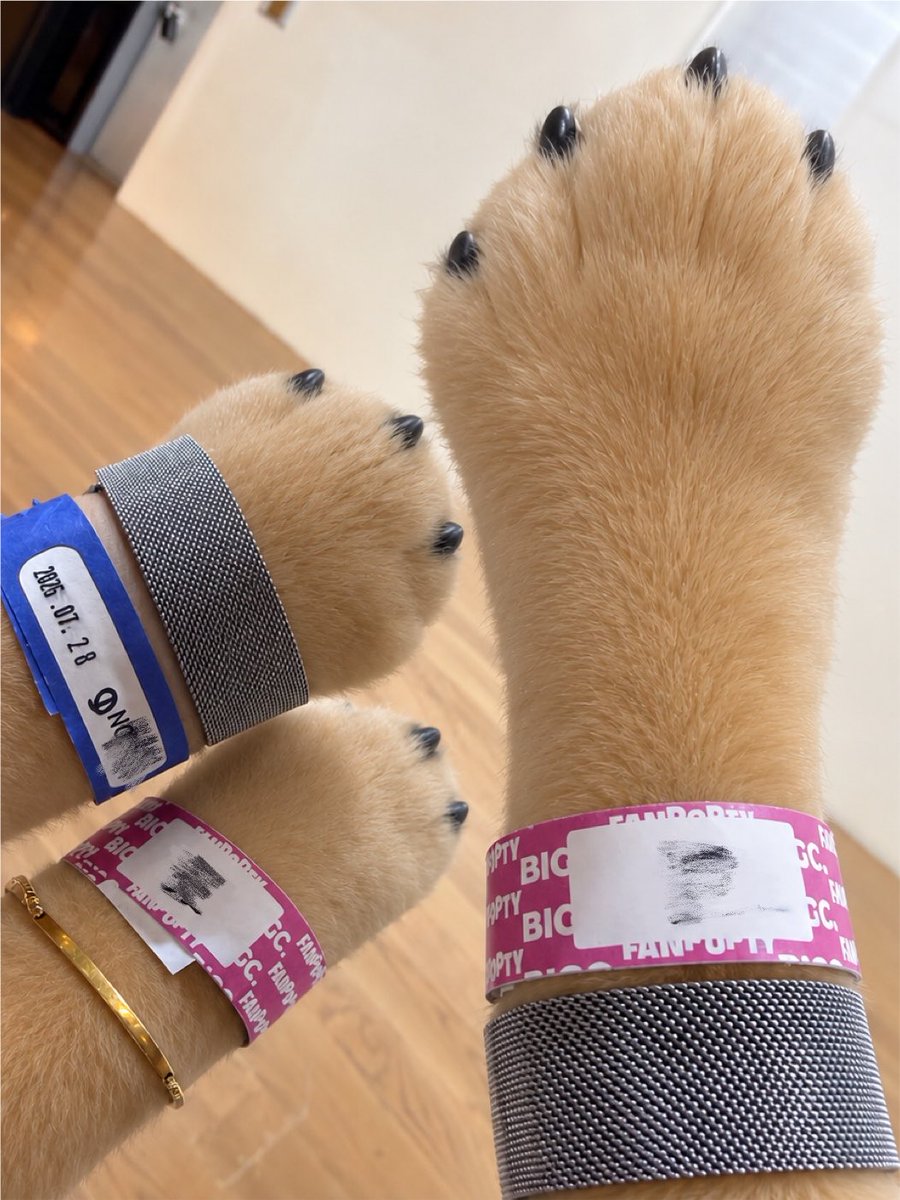 1OO428O8's tweet photo. 🫶🏻🫶🏻🫶🏻🫶🏻🫶🏻🫶🏻🫶🏻 https://t.co/UEJ9x806gb