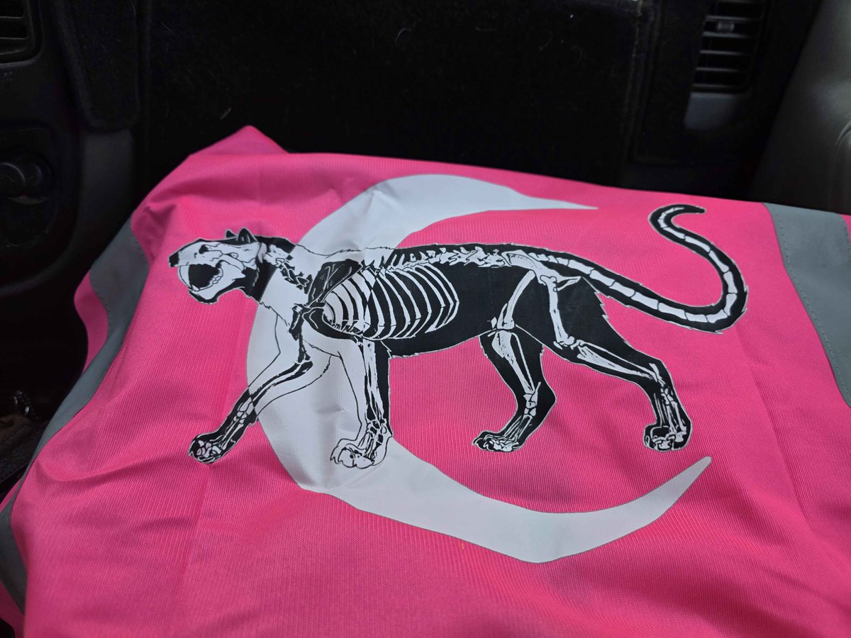 Fredkorick's tweet photo. Nothing makes me happier than seeing my artwork become something real. 🖤

She turned the Smilodon design into a safety vest and flag, and it came out beautifully! Thanks for trusting me with your vision #furry #furryart #furrydrawing #furrycommission #furryartists https://t.co/8n1mSgPqLH