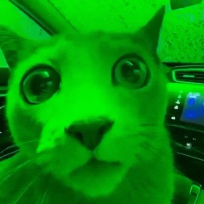 Brick69Flipper's tweet photo. #NewProfilePic https://t.co/OZCOUdepGp
