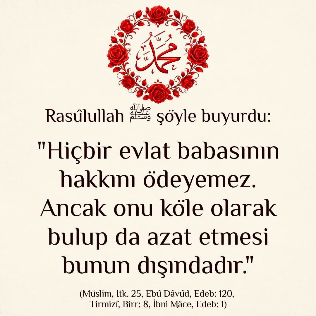muratguler_07_ tweet picture