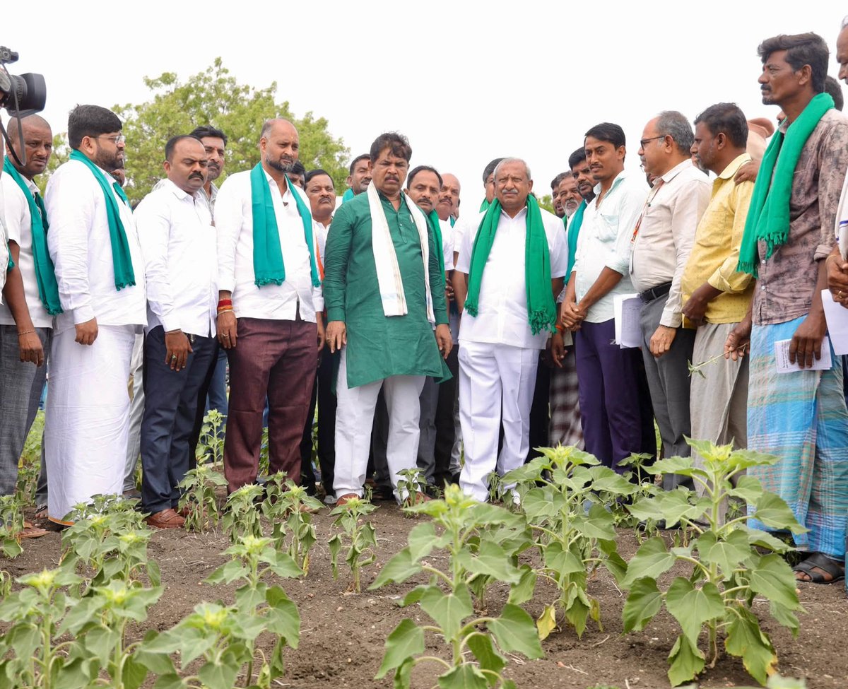 BJP4Karnataka's tweet photo. ಕಾಂಗ್ರೆಸ್‌ ಸರ್ಕಾರದ ನಿರ್ಲಕ್ಷ್ಯಕ್ಕೆ ಒಳಗಾಗಿ ಸಂಕಷ್ಟ ಅನುಭವಿಸುತ್ತಿರುವ ರೈತರ ಸಮಸ್ಯೆ ಮತ್ತು ಬರ ಪರಿಸ್ಥಿತಿ ಪರಿಶೀಲಿಸಲು ಇಂದು ಪ್ರತಿಪಕ್ಷ ನಾಯಕರಾದ ಶ್ರೀ @RAshokaBJP ಅವರ ನೇತೃತ್ವದ ಬರ ಅಧ್ಯಯನ ತಂಡವು ಚಿತ್ರದುರ್ಗ ಜಿಲ್ಲೆಯ ಹಿರಿಯೂರು ತಾಲ್ಲೂಕಿನ ಸೂರಗೊಂಡನಹಳ್ಳಿ ಗ್ರಾಮಕ್ಕೆ ಭೇಟಿ ನೀಡಿ, ನೀರಿನ ಕೊರತೆಯಿಂದ ಹಾನಿಗೊಳಗಾದ ಸೂರ್ಯಕಾಂತಿ ಬೆಳೆಯನ್ನು ಪರಿಶೀಲಿಸಿ, ರೈತರ ಸಮಸ್ಯೆಗಳನ್ನು ಆಲಿಸಿತು. 

ಈ ಸಂದರ್ಭದಲ್ಲಿ ರಾಜ್ಯ ಉಪಾಧ್ಯಕ್ಷರು ಹಾಗೂ ಮಾಜಿ ಸಚಿವರಾದ ಶ್ರೀ ಬೈರತಿ ಬಸವರಾಜ್‌, ವಿಧಾನ ಪರಿಷತ್‌ ಸದಸ್ಯರಾದ ಶ್ರೀ ಕೆ. ಎಸ್.‌ ನವೀನ್‌, ಪದಾಧಿಕಾರಿಗಳು, ಪ್ರಮುಖರು, ರೈತ ಮುಖಂಡರು ಮತ್ತು ಕಾರ್ಯಕರ್ತರು ಉಪಸ್ಥಿತರಿದ್ದರು.
‌
#CongressFailsKarnataka
#ರೈತವಿರೋಧಿಕಾಂಗ್ರೆಸ್