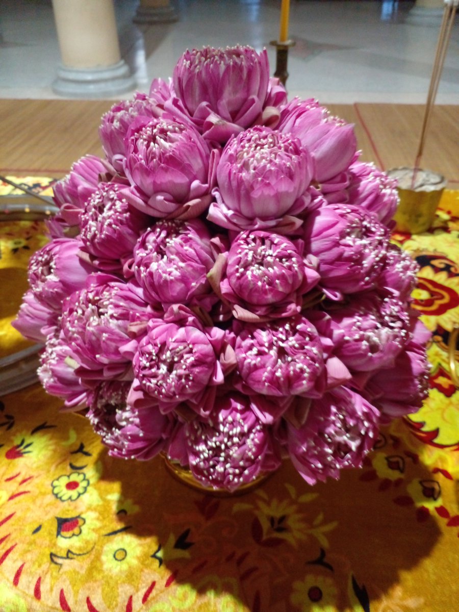 Tanuchphan's tweet photo. Asalhabucha🙏🌸🌼 https://t.co/eDAcOrhcId