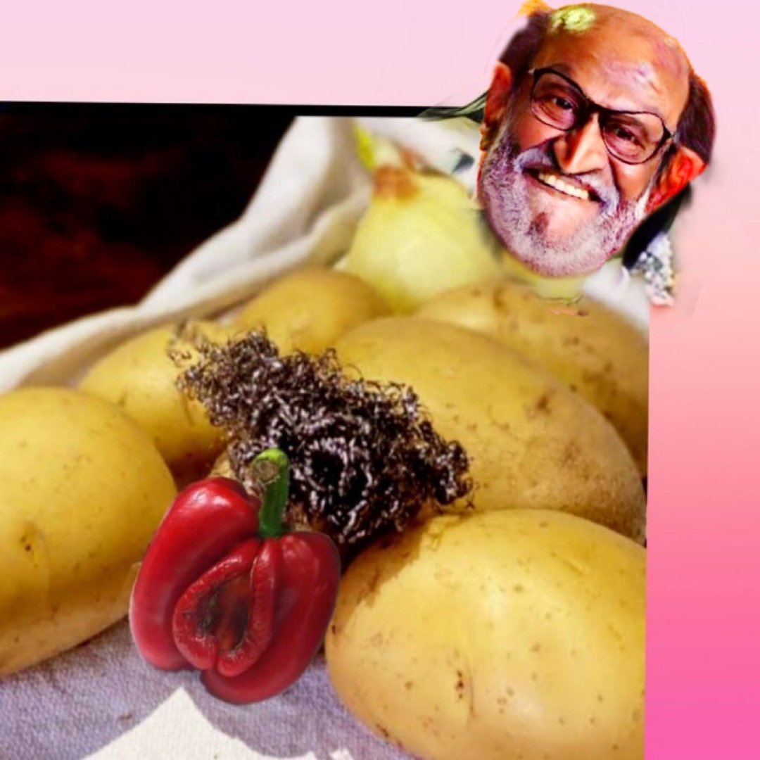Samuel650619's tweet photo. @vindren @BLSTG Rosekunji star of India🤣🤣🤣🤣🤣🤣🤣🤣
Unga amma va poi Rajini Rajini rose kunjiya nakka sollu🤣🤣🤣🤣🤣🤣🤣🤣 https://t.co/054wTJ4Av9