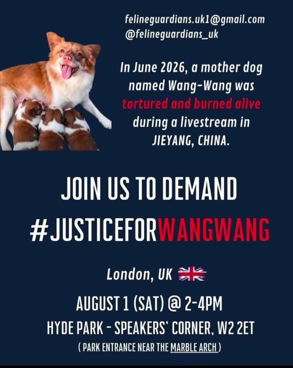 feilung_lau's tweet photo. 正義之花遍地開!
正義或許會遲到,但永遠不會缺席。
Justice may be late, but it will never be absent.
#justiceforwangwang #neverforgetwangwang #boycottchina https://t.co/MTdeDWSNTq