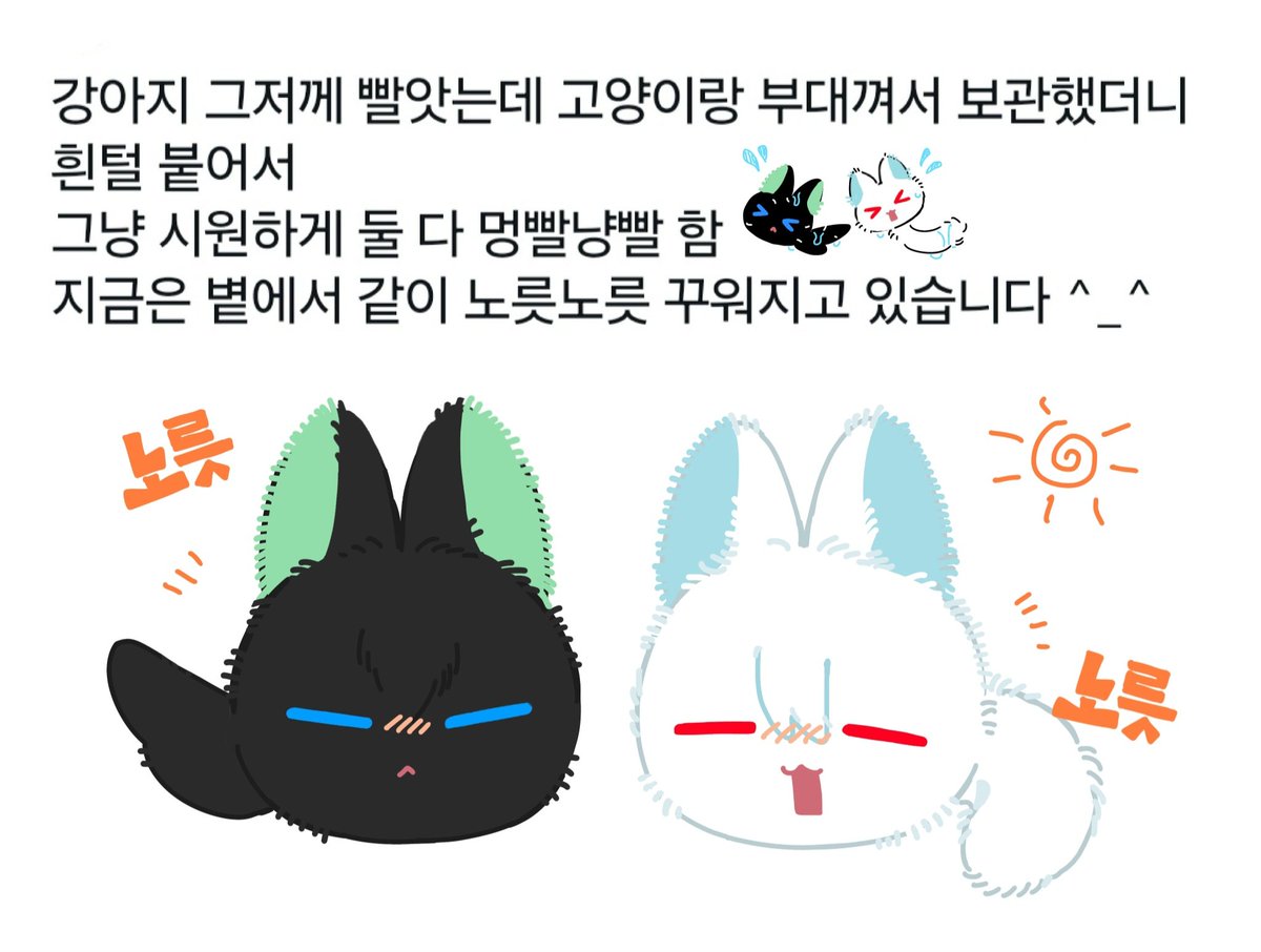 SWL0510's tweet photo. 야호
핸드메이드 510% 인형 다 만들엇어요 https://t.co/WReHPwZ95g