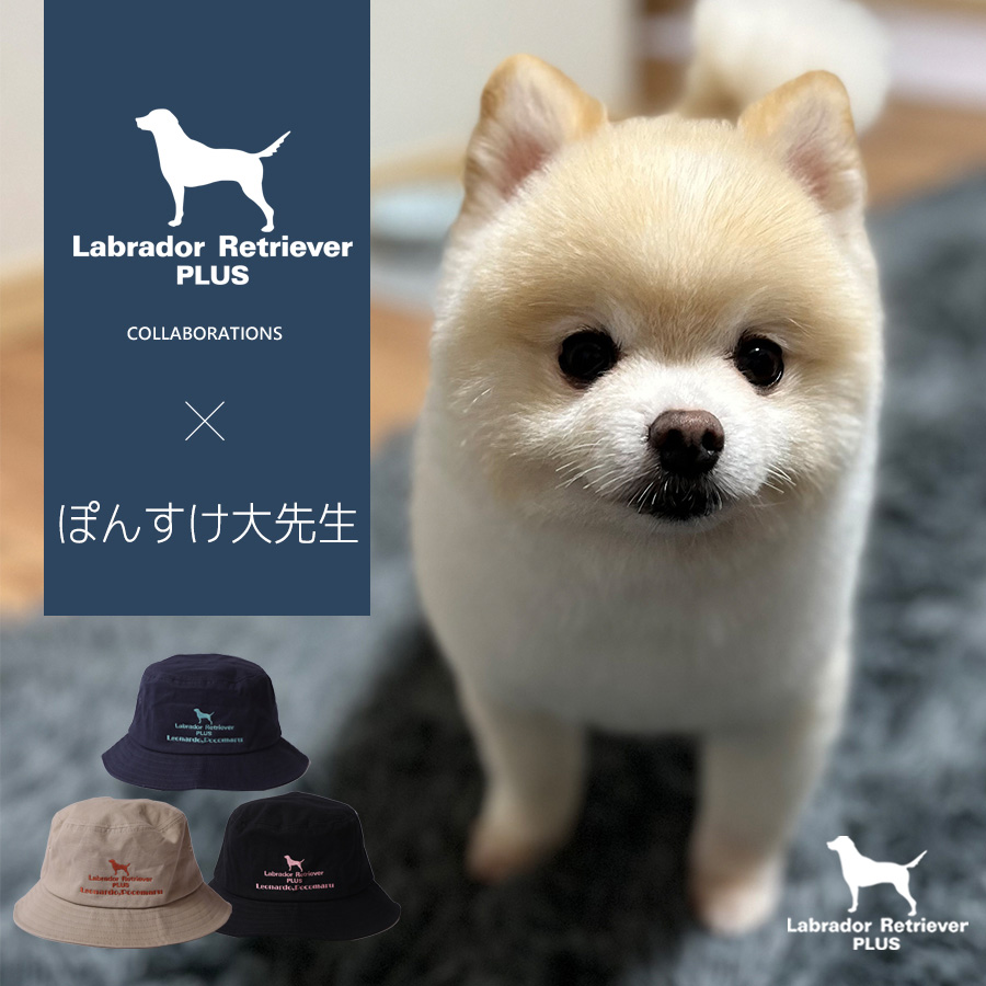 ぽんすけ大先生さんとのコラボアイテムが 大好評予約受付中🐾🌼 ZIP