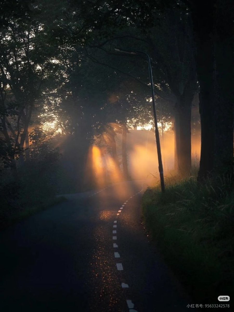 pc_billionaire's tweet photo. Success is waiting.Keep your energy high. https://t.co/F5RK5g8PEg