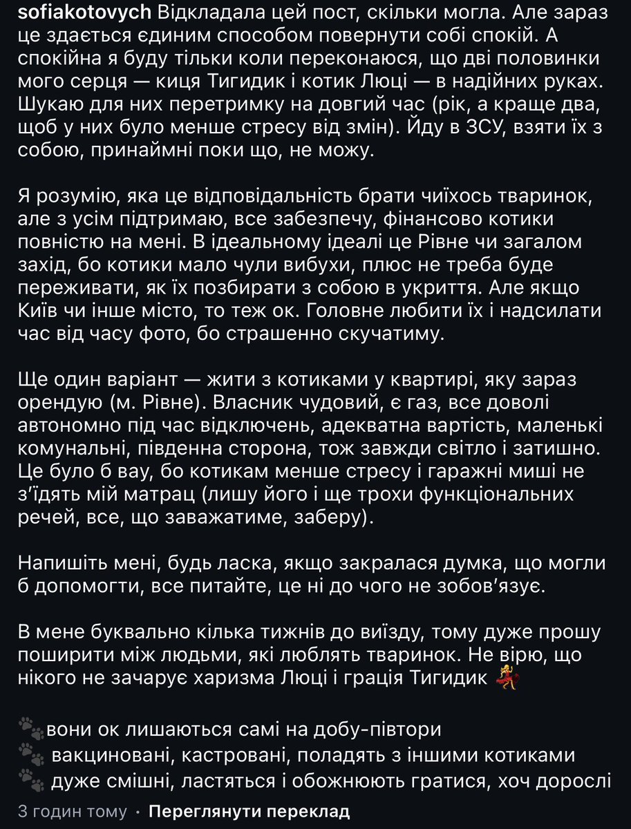 yuliana_iv's tweet photo. Друзі, наша дорога Софійка з Юкрейнера йде у військо і терміново шукає добрих людей, які могли б забрати її котиків на рік-два. З вас лише любов та турбота, а Софійка забезпечить усім іншим❤️‍🩹🥹

Якщо ви готові стати сімʼєю для цих булок, напишіть їй в інсту sofiakotovych https://t.co/JJmvCvhNWt