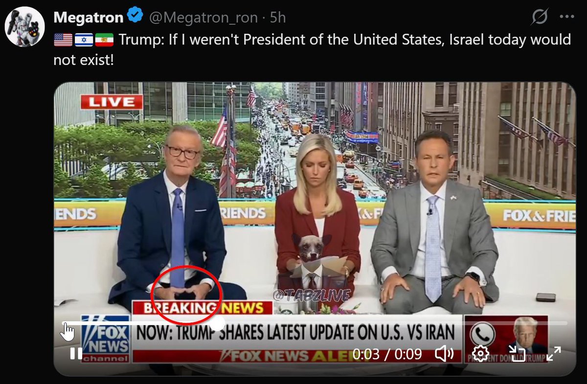 berthaje6761's tweet photo. @thedailyrabbit_ Even on Fox News. https://t.co/hzOQO2IH8d