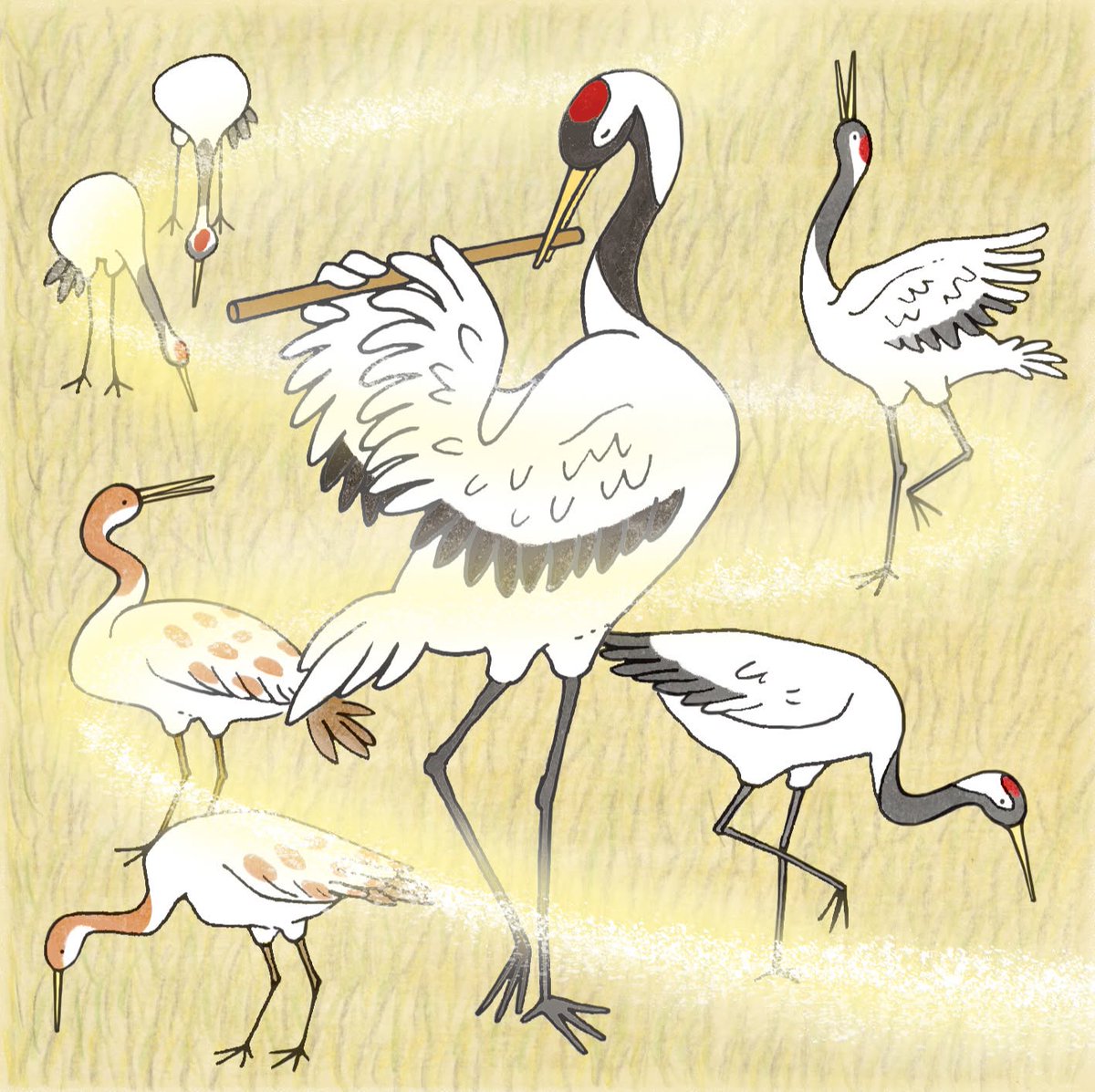 kikue3ta's tweet photo. 【works: 新聞連載に挿絵】
児童文学を紹介する「見つけた！ことばの宝物」(共同通信 配信／掲載は全国各紙)。
---
165回『かえる』
166回『鶴の笛』
林 芙美子
---
『放浪記』で有名な林芙美子が書いた児童文学作品。ドラマチックではない描写の中に小さな引っ掛かりを持たせつつ、あたたかさあり📚 https://t.co/0oBFpp1WnR