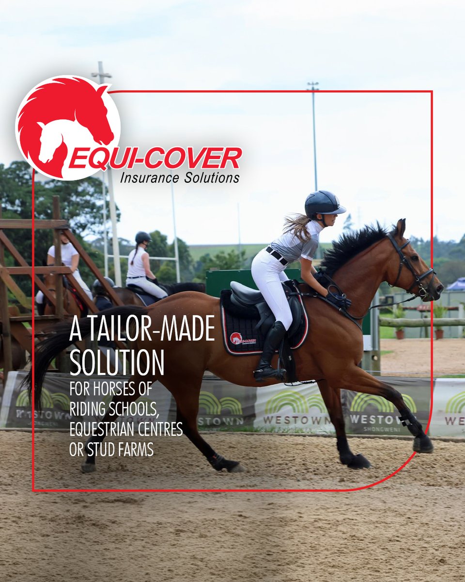 EquiCover's tweet photo. Every equine operation has different requirements. Our tailor-made insurance solutions are designed around the unique needs of riding schools, equestrian centres, and stud farms.

For more info visit https://t.co/LyAEWqC1aw or contact Mickey on 083 448 8858 https://t.co/JK3LubK4er