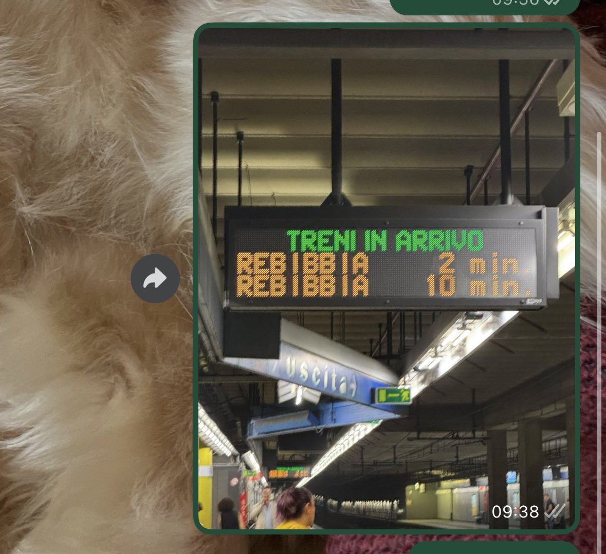 jonathanzacconi's tweet photo. Chissà i minuti di @InfoAtac da quanti secondi sono formati.
- Ore 9:26, 10 minuti di attesa per la Metro B che quindi dovrebbe arrivare alle 9:36
- Ore 9:38, ovvero 12 minuti dopo, ancora 2 minuti di attesa.
10 minuti che ne valgono 14, incredibile
#Atac #AtacRoma https://t.co/fVmnspHC1b