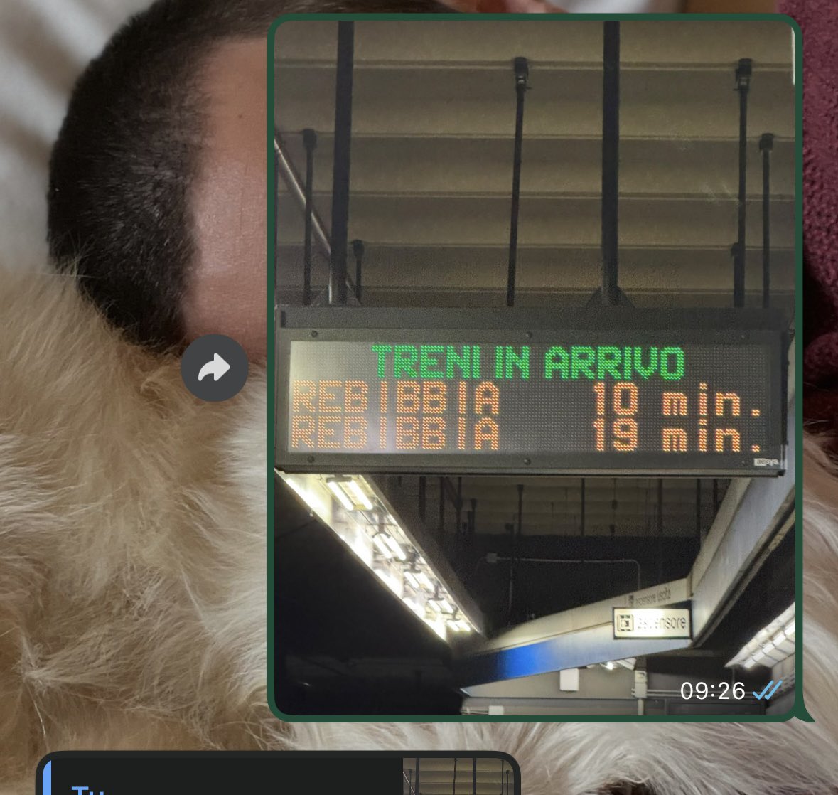 jonathanzacconi's tweet photo. Chissà i minuti di @InfoAtac da quanti secondi sono formati.
- Ore 9:26, 10 minuti di attesa per la Metro B che quindi dovrebbe arrivare alle 9:36
- Ore 9:38, ovvero 12 minuti dopo, ancora 2 minuti di attesa.
10 minuti che ne valgono 14, incredibile
#Atac #AtacRoma https://t.co/fVmnspHC1b