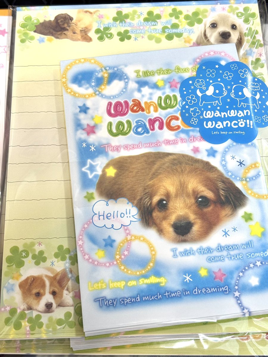 実写犬 わんわんわんこ サンエックス様の商品です。 サンエックス様