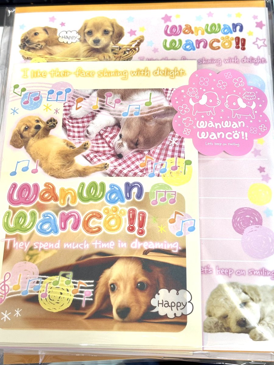 実写犬 わんわんわんこ サンエックス様の商品です。 サンエックス様