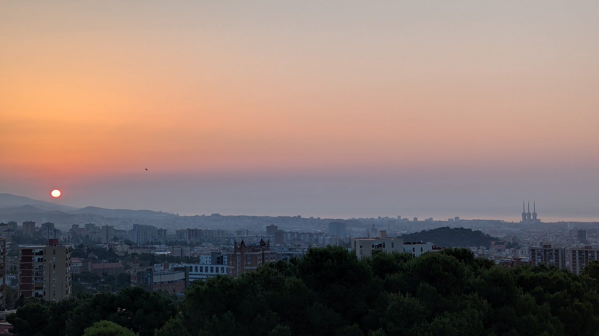 jordicampos's tweet photo. Bon dia, 23,2 graus de mínima, encara ambient agradable a primera hora. Sortida de 🌞 plàcida amb humitat elevada. La temperatura s'enfila ràpidament, a tocar dels 30 graus. (09:50h) #Montbau #Barcelona #Meteo https://t.co/pn0wFMgFYB