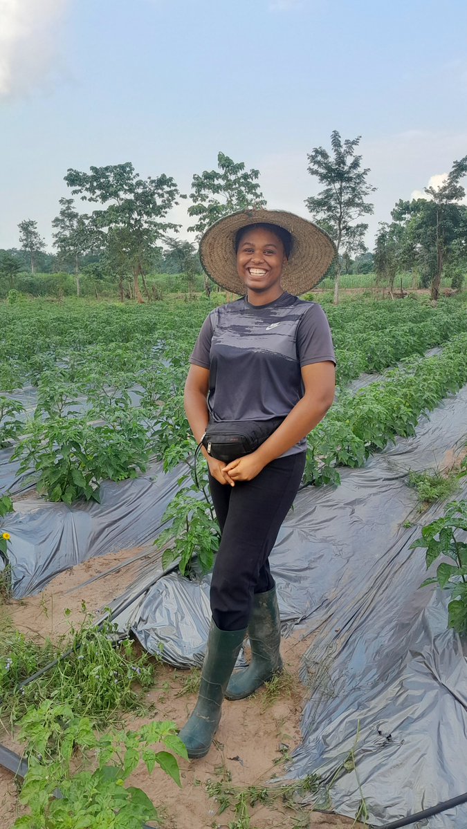 ChiamakaOzoekwe's tweet photo. A year ago, I packed my bags while and relocated back to Enugu after months of fîgʻhting it.

July 29th, 2025, the day I accepted to be a Farmer. 

Happy Farmer birthday to me

To @UgoAgro_ and the team at @AboveAgro ,@aprokofarmer, thank you so much, Chim gozie ùnu, ùnu emekarum https://t.co/VQ6NSS57ZH