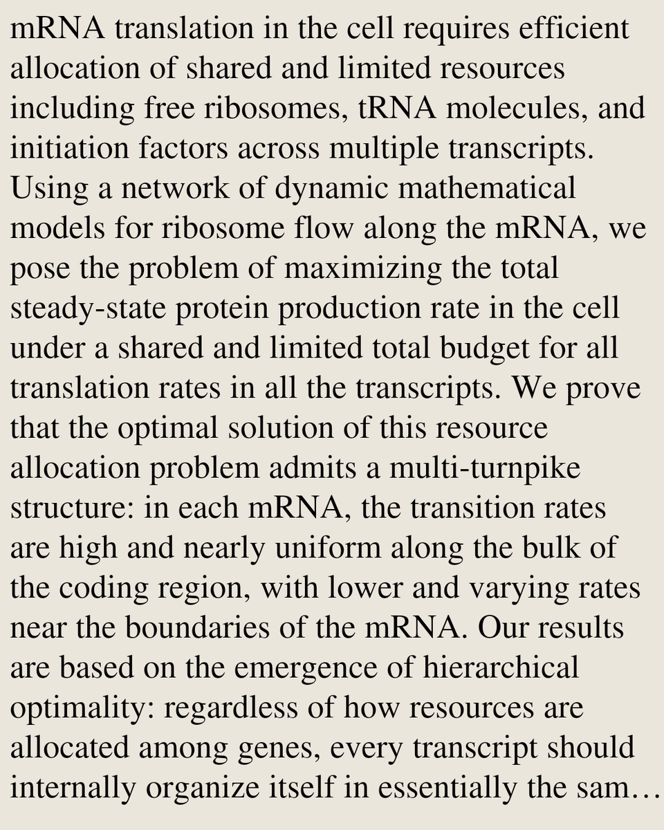 ENZN's tweet photo. A universal multi-turnpike principle for optimal allocation of translational resources

Ram Massas, Thomas Kriecherbauer, Lars Grüne, Tamir Tuller, Michael Margaliot
https://t.co/Iii6r3WiyW [𝚚-𝚋𝚒𝚘.𝙼𝙽 𝚚-𝚋𝚒𝚘.𝙶𝙽] https://t.co/AqiQYIGtQ3