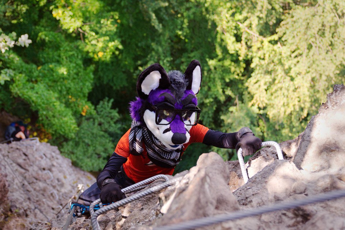 ElthoOwo's tweet photo. Just keep climbing!

📸 @GoodWolfSK 

#fursuit #furryfandom #furry https://t.co/d5WGOgRKHK