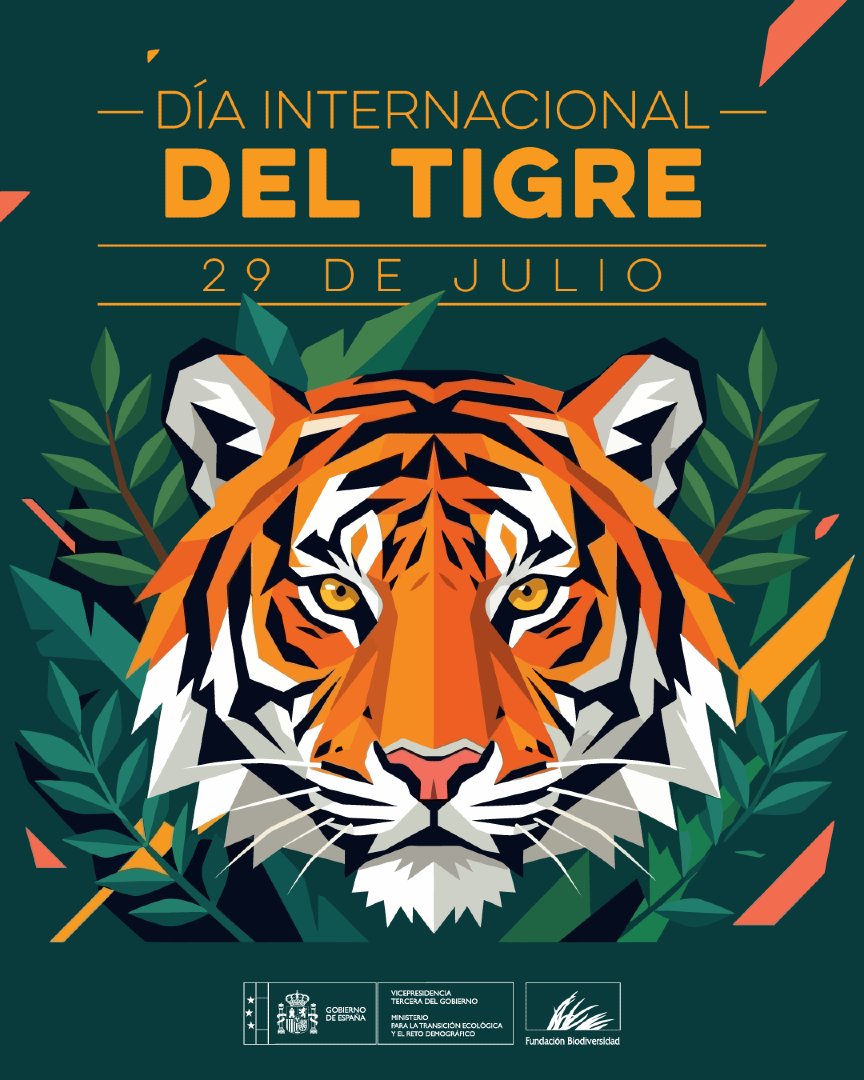 FBiodiversidad's tweet photo. 🐅 En el #DíaInternacionalDelTigre recordamos que el mayor felino del planeta sigue en peligro de extinción.

⚠️ Hoy sobreviven alrededor de 5.500 tigres en libertad. Proteger sus hábitats y combatir la caza furtiva es fundamental para asegurar su futuro. https://t.co/0OUg2MqqWk