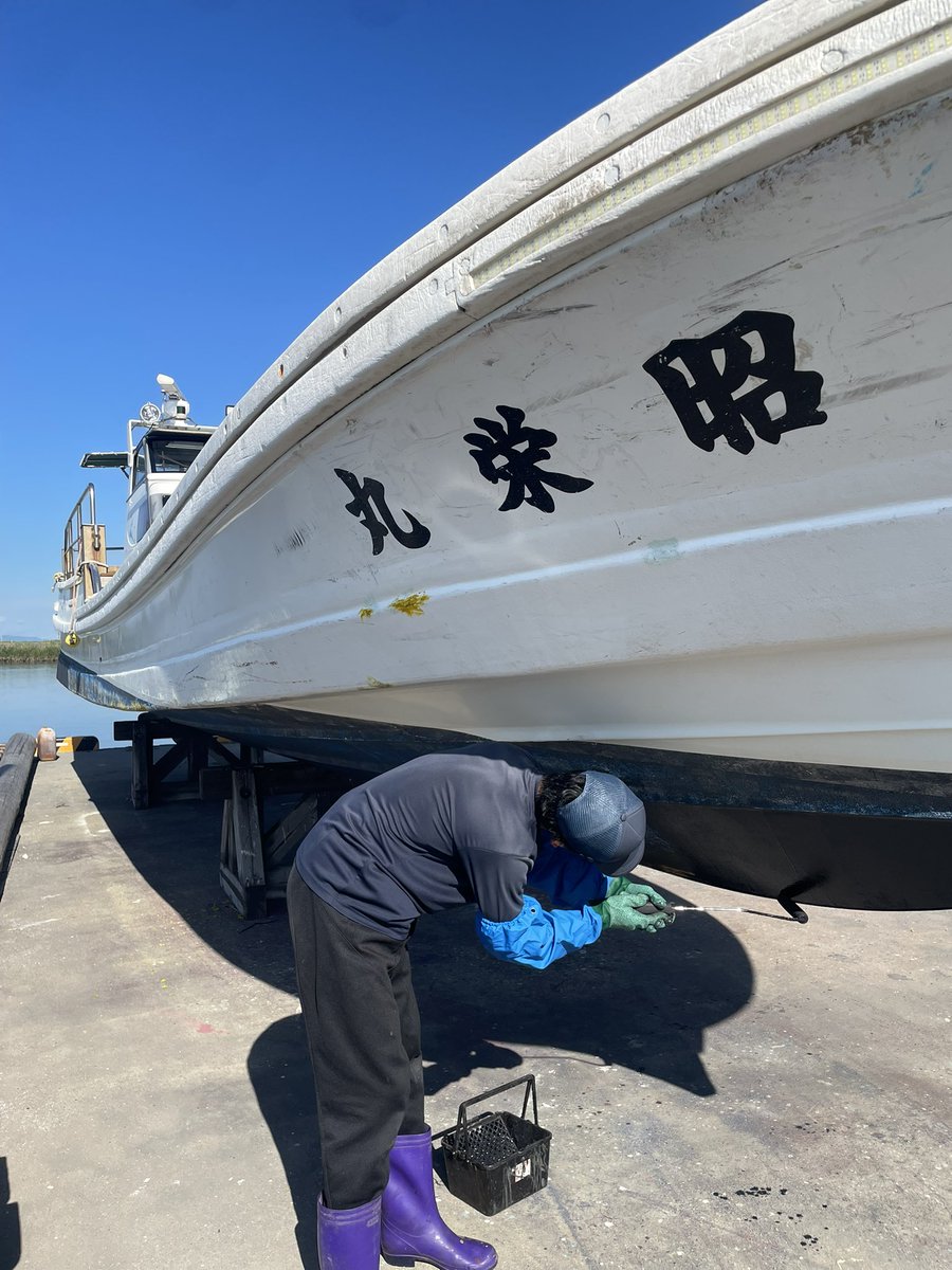 googoobird's tweet photo. まず、この度の熊本地震で被災された皆さまに、心よりお見舞い申し上げます。一日も早く穏やかな日常が戻ることを願っています。昨日はこちらでも震度5弱。結構揺れたものの被害はなく、本日予定通り船底塗料を塗りメンテナンスを終えた2号艇を降ろした。もう地震余震来ないで。 https://t.co/QjH1e5oW3v