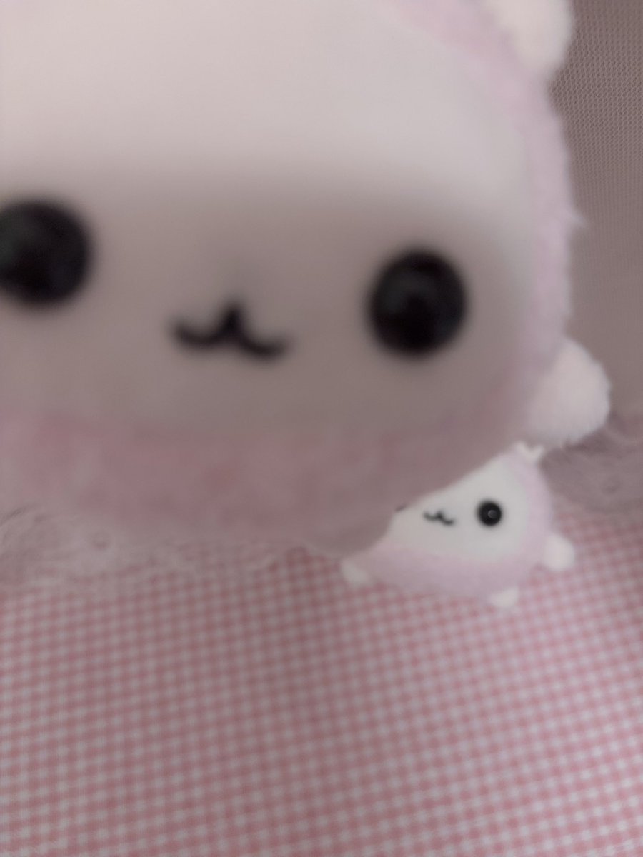 saltulle's tweet photo. https://t.co/Iz1JCT00u9