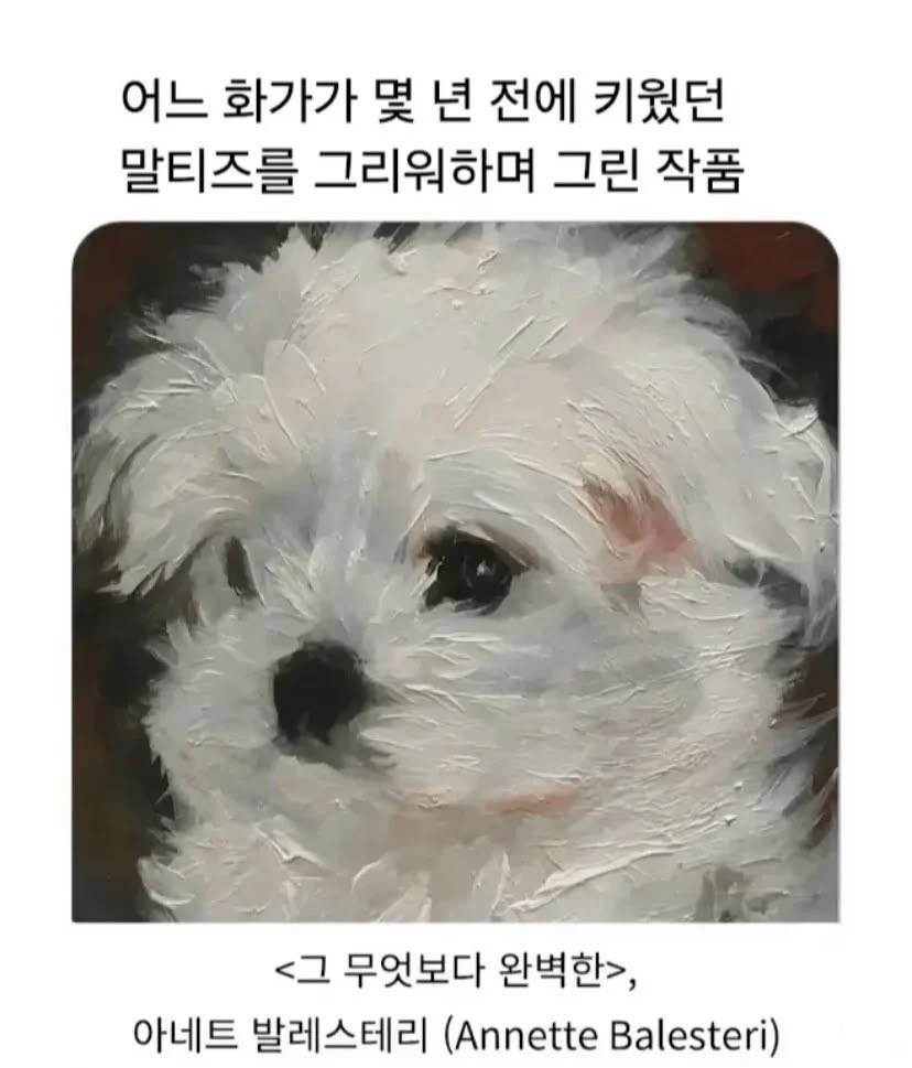 thinkingtree413's tweet photo. 제목부터 완벽한 https://t.co/elDpNdUeZF
