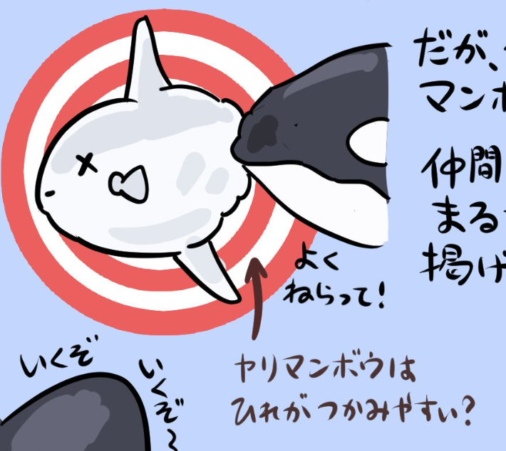 X-এ ぬまがさワタリ@特別展「鳥」大阪展（〜6/14）: 