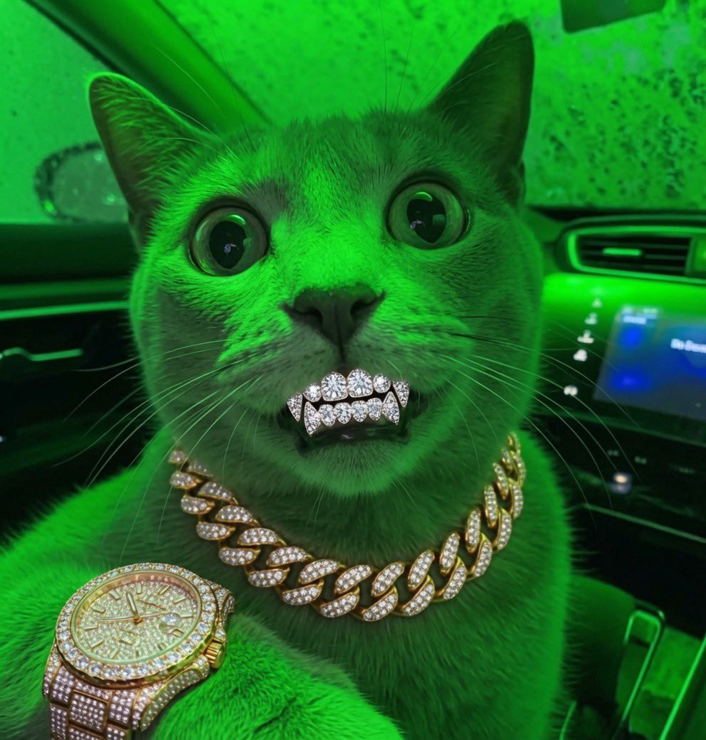 Brick69Flipper's tweet photo. Ummmm green baby 🟩🟩🟩🟩 https://t.co/GKmKEXnYFe