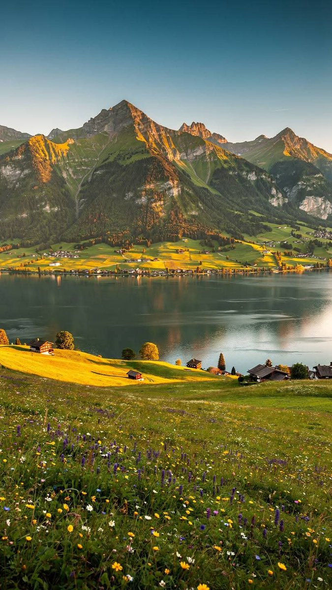 orbivelle's tweet photo. summer in switzerland https://t.co/nO3cg8ifs3