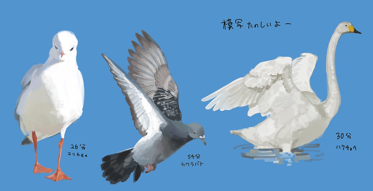 coffee_susk's tweet photo. 途中で飽きてきて雑になったけど https://t.co/Xf7mA1kfxU