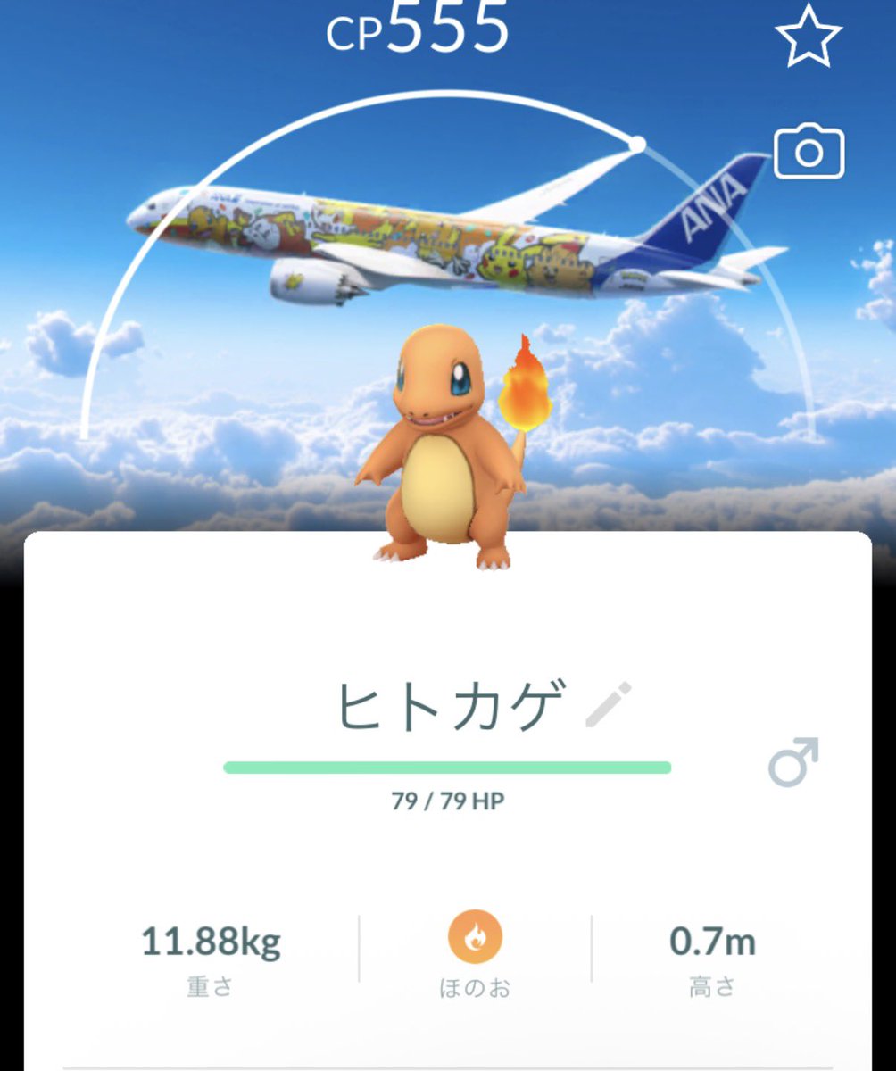 pochaaaaa1127's tweet photo. 仕事終わりに行ってきた✈️ https://t.co/LzZnjkM9Yo