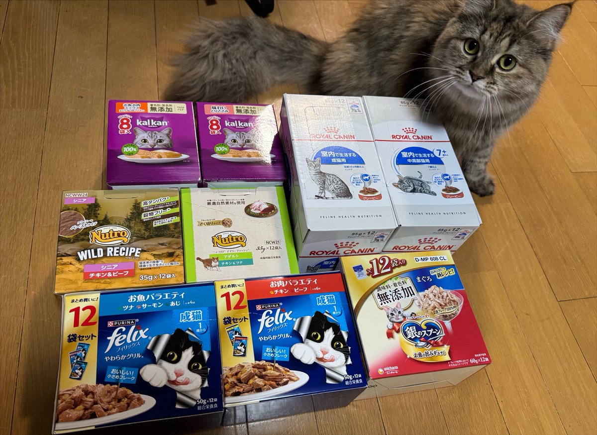 poco_dao's tweet photo. たくさん買いましたԅ(♡﹃♡ԅ)ｸﾞﾍﾍﾍ https://t.co/VNYwlouzXf