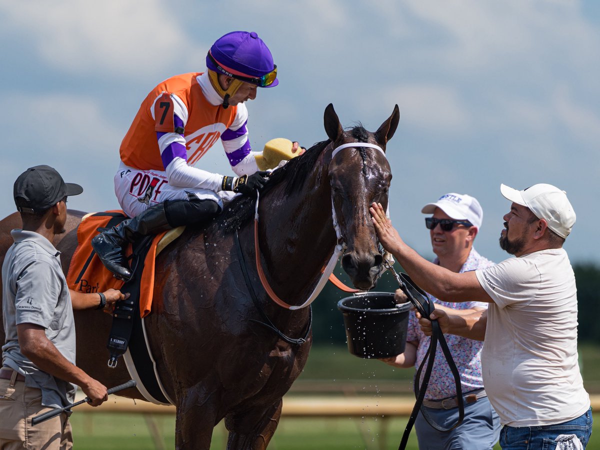 durrtraining's tweet photo. A job well done… 🎓TDTC graduates Stakes success in July 👉🏻

• ANARKARINA | Love Sign S. @ColonialDowns 
• COSMIC CANDY GIRL | Suzie O’Cain S. @saratoga1863 
• UNCLE DODO | Victoria S. @woodbinetb 
• TWO SEVEN O | Dade Park Dash S. @ellisparkracing 

• RAIDING PARTY | 3rd, G2 San Clemente H. @delmarracing 
• FORTYFIVESEVENTY | 3rd, G3 Trillium S. @woodbinetb 
• BOARDWALK JACK | 3rd, Mr. Prospector S. @ParkMonmouth 

🔗https://t.co/gLUXz7kx9j
📸5horsecreative