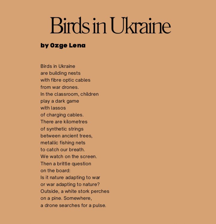 lenaozge's tweet photo. Here is my Bermondsey and Beyond 2026 Literary Festival Poetry Competition commended poem: Birds in Ukraine 🌟 

And it's now published in the festival anthology! With my sincere thanks to Big Local Works, the committee, and the editors!

🔗https://t.co/dBFlKq1squ https://t.co/1K7Iq5tM1S