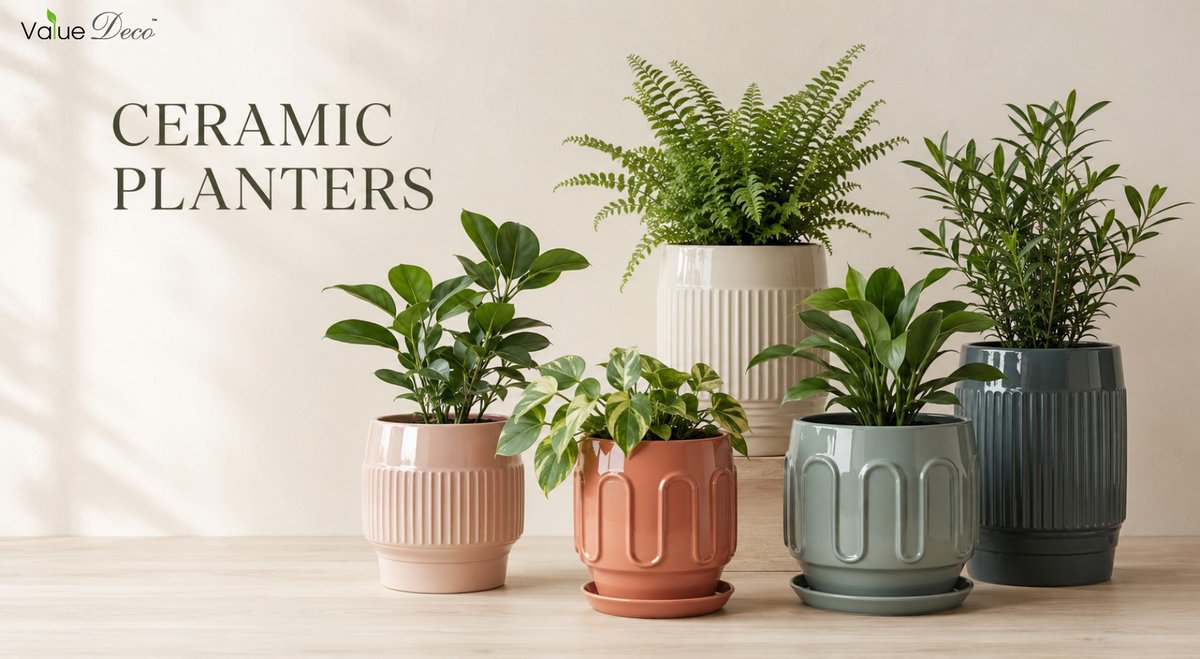 Valuedeco's tweet photo. "Don’t let temporary doubts stop you from becoming who you hope to be”

#Ceramic Pots#Flower Pots

Welcome to visit our website https://t.co/xgtkUF4KSr for our photo gallary

or visit us at sales@valuedeco.com for latest catalog https://t.co/iyN9HwrzHm
