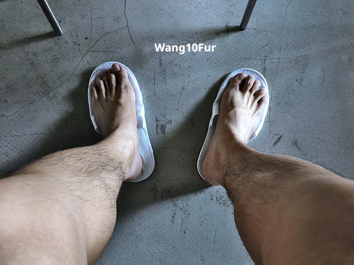 Wang10Fur's tweet photo. A very different style https://t.co/SM3L1vNcUa