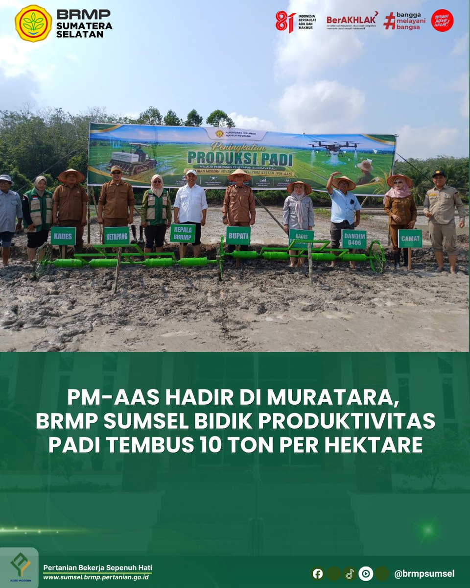 BSIP_SUMSEL2109's tweet photo. PM-AAS Hadir di Muratara, BRMP Sumsel Bidik Produktivitas Padi Tembus 10 Ton per Hektare
#PMAAS
#brmpsumsel
#kementan
#swasembadapangan https://t.co/7qHtq1YQx2