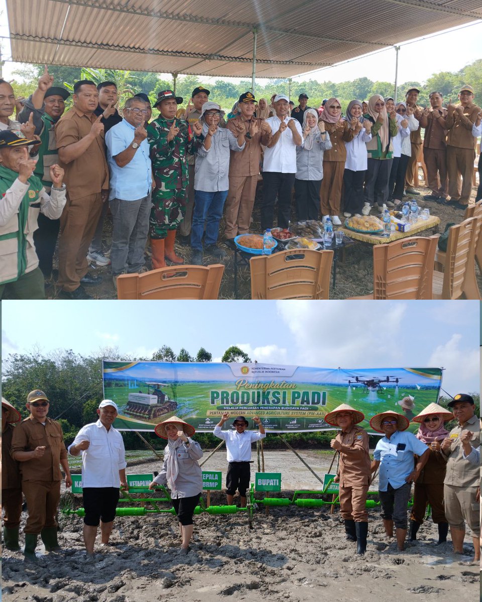 BSIP_SUMSEL2109's tweet photo. PM-AAS Hadir di Muratara, BRMP Sumsel Bidik Produktivitas Padi Tembus 10 Ton per Hektare
#PMAAS
#brmpsumsel
#kementan
#swasembadapangan https://t.co/7qHtq1YQx2