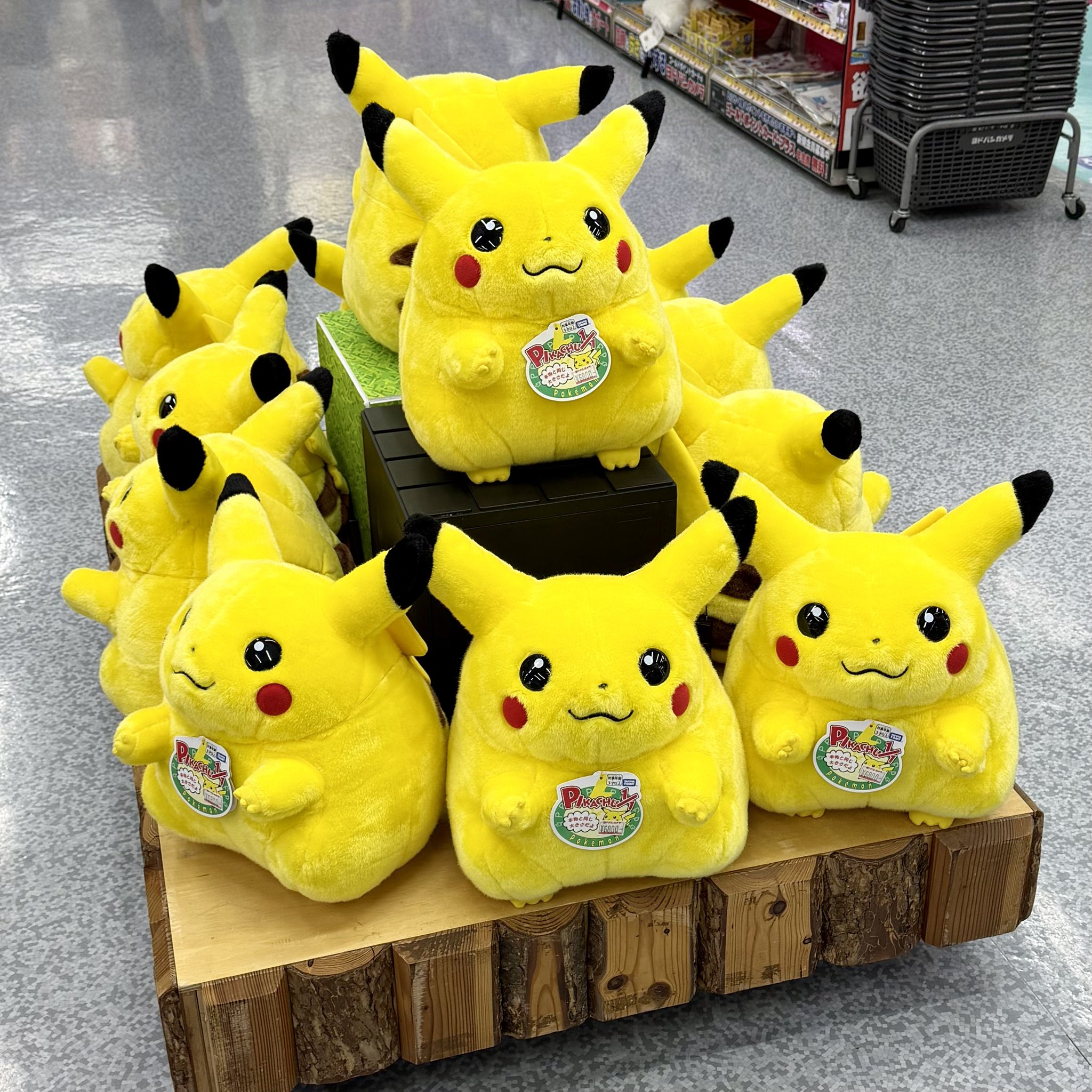 ポケモン情報NAKAYAMA【非公式】 в X: „今日はヨドバシAkibaに