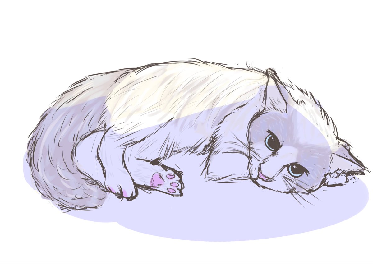 Argent_D_ragon's tweet photo. https://t.co/vF9Mzuev5W