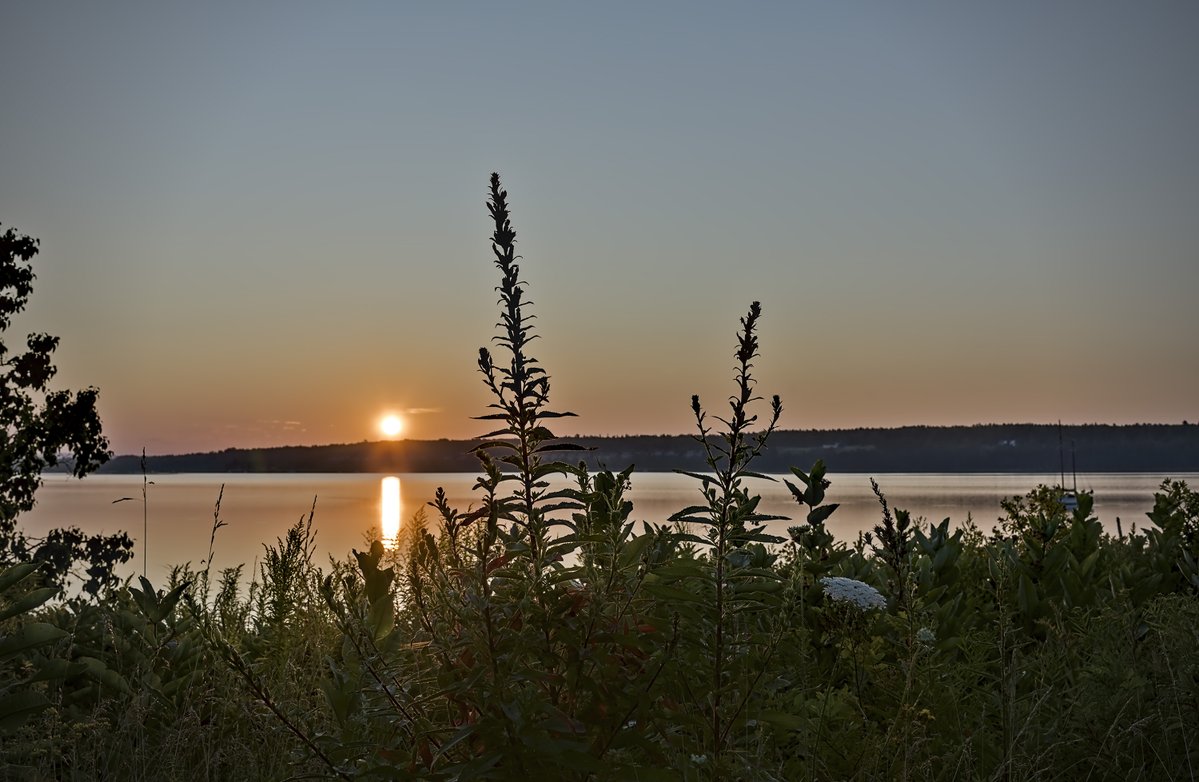 HipExplorer's tweet photo. Some mornings ask you to slow down.

The sun rose over Sears Island without much fanfare, painting the water with soft light while a lone sailboat waited for the day to begin. Every few steps offered a different perspective, and none of them needed to be rushed. https://t.co/ghCXkaIRkB