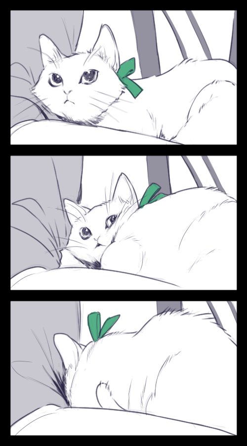 sanadamusio's tweet photo. Nyan-Jiu reunited with his disciple in Jinlan.
Nyan-jiu🐱 &amp; Luo Binghe👿 https://t.co/gZVjqK5j8c